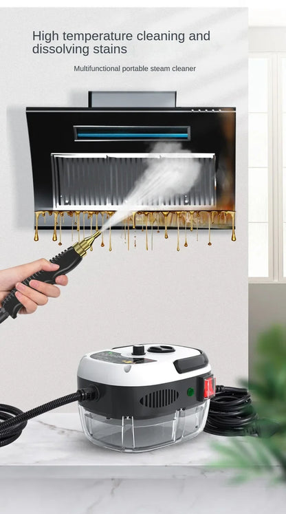 High-Pressure Steam Cleaner